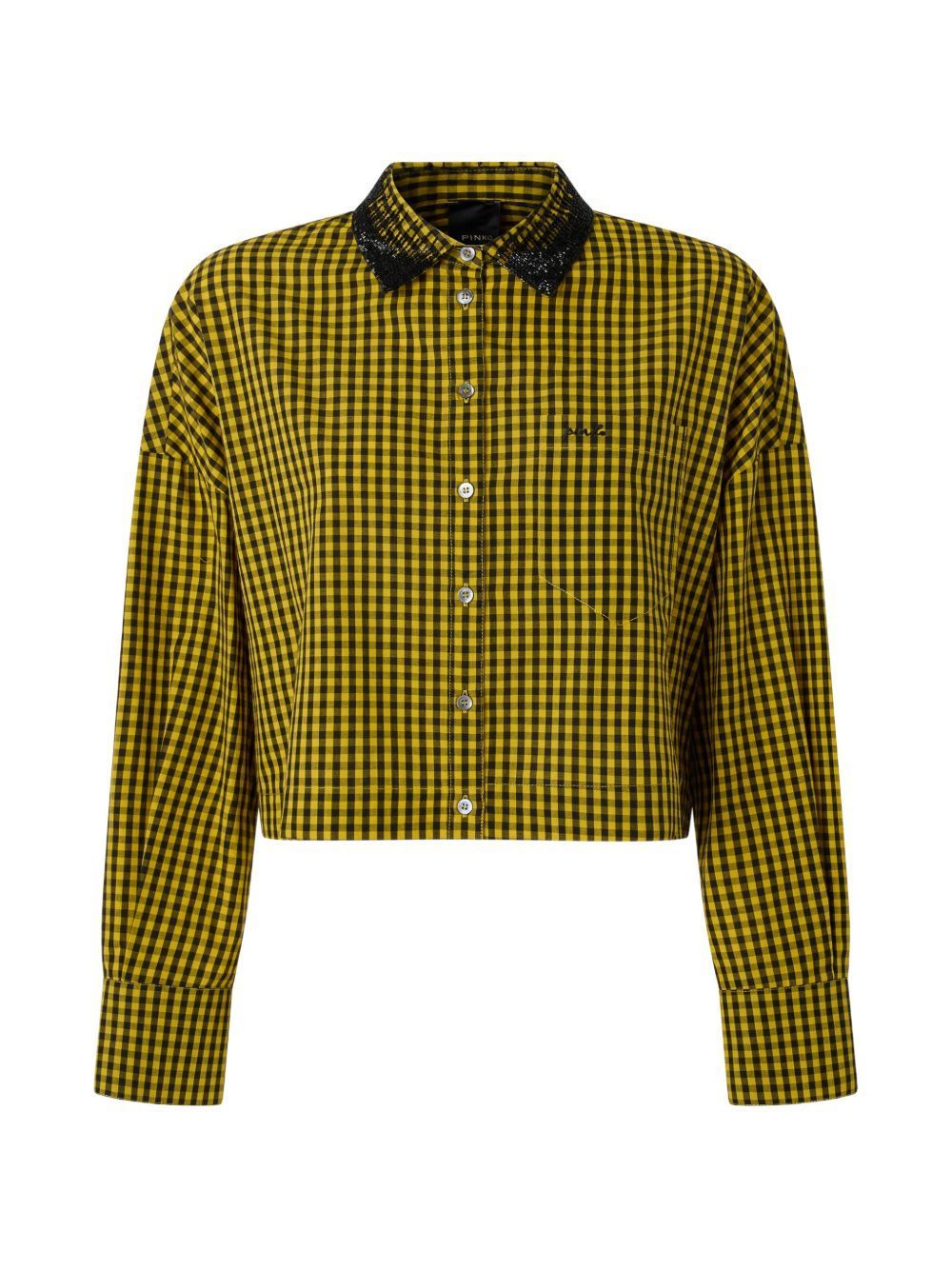 Camicia Pinko carne