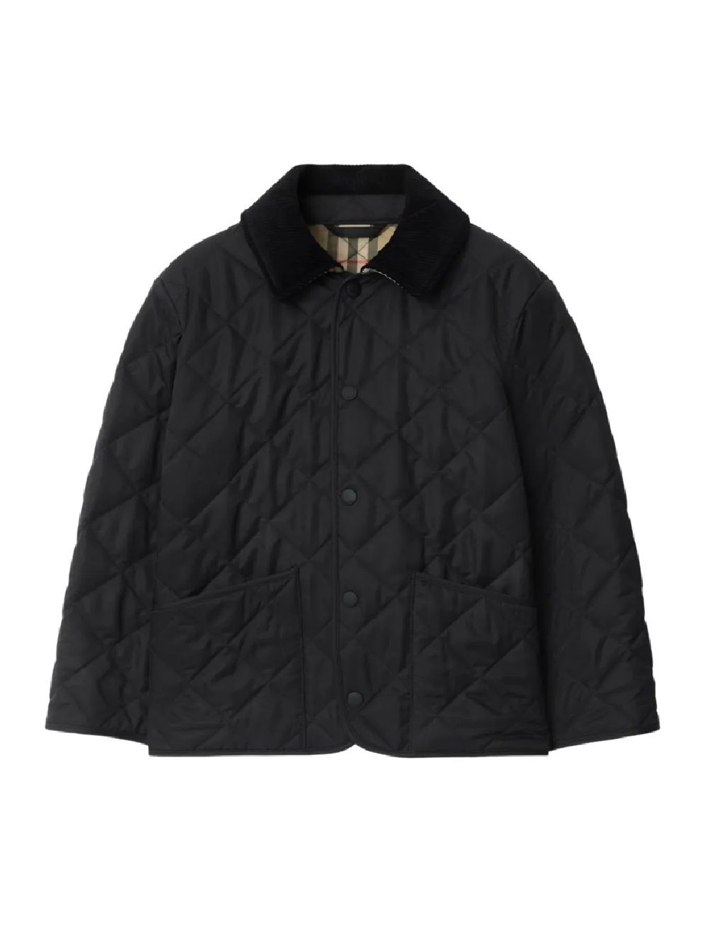 Burberrys Coat Burberry Kids Cappotto