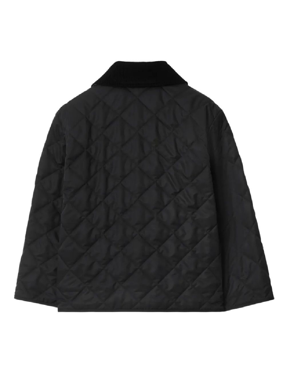 Burberrys Coat Burberry Kids Cappotto