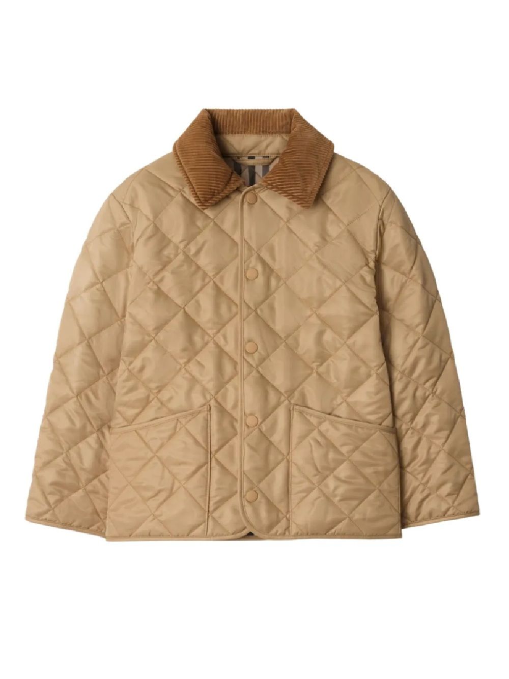Burberrys Coat Burberry Kids Cappotto