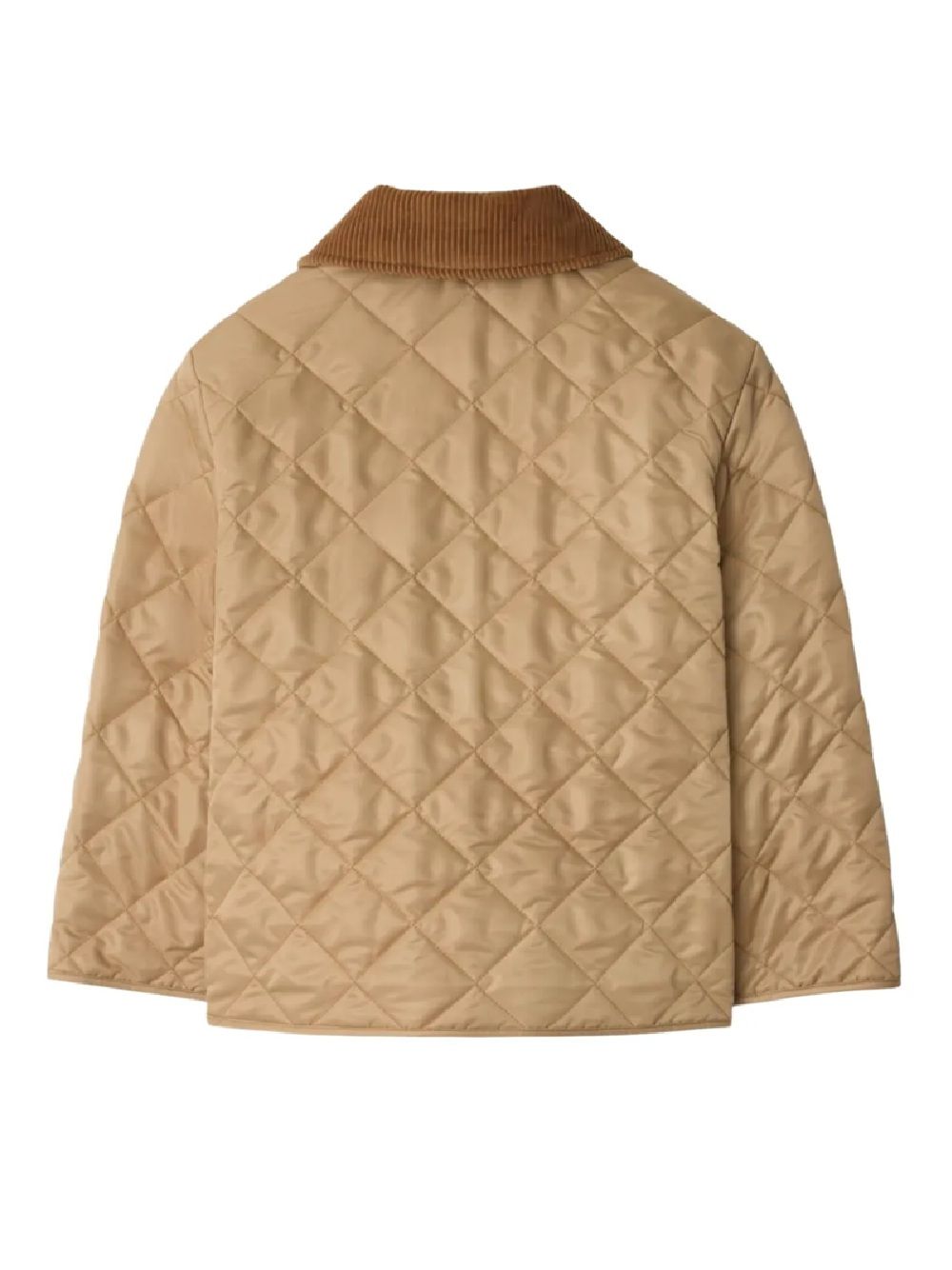 Burberrys Coat Burberry Kids Cappotto