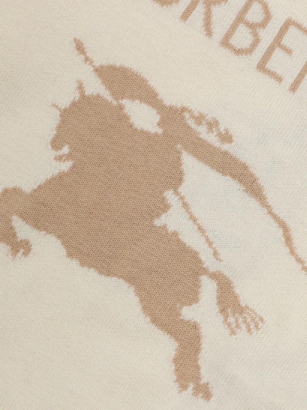 Burberrys Sweatshirt Burberry Kids Felpa