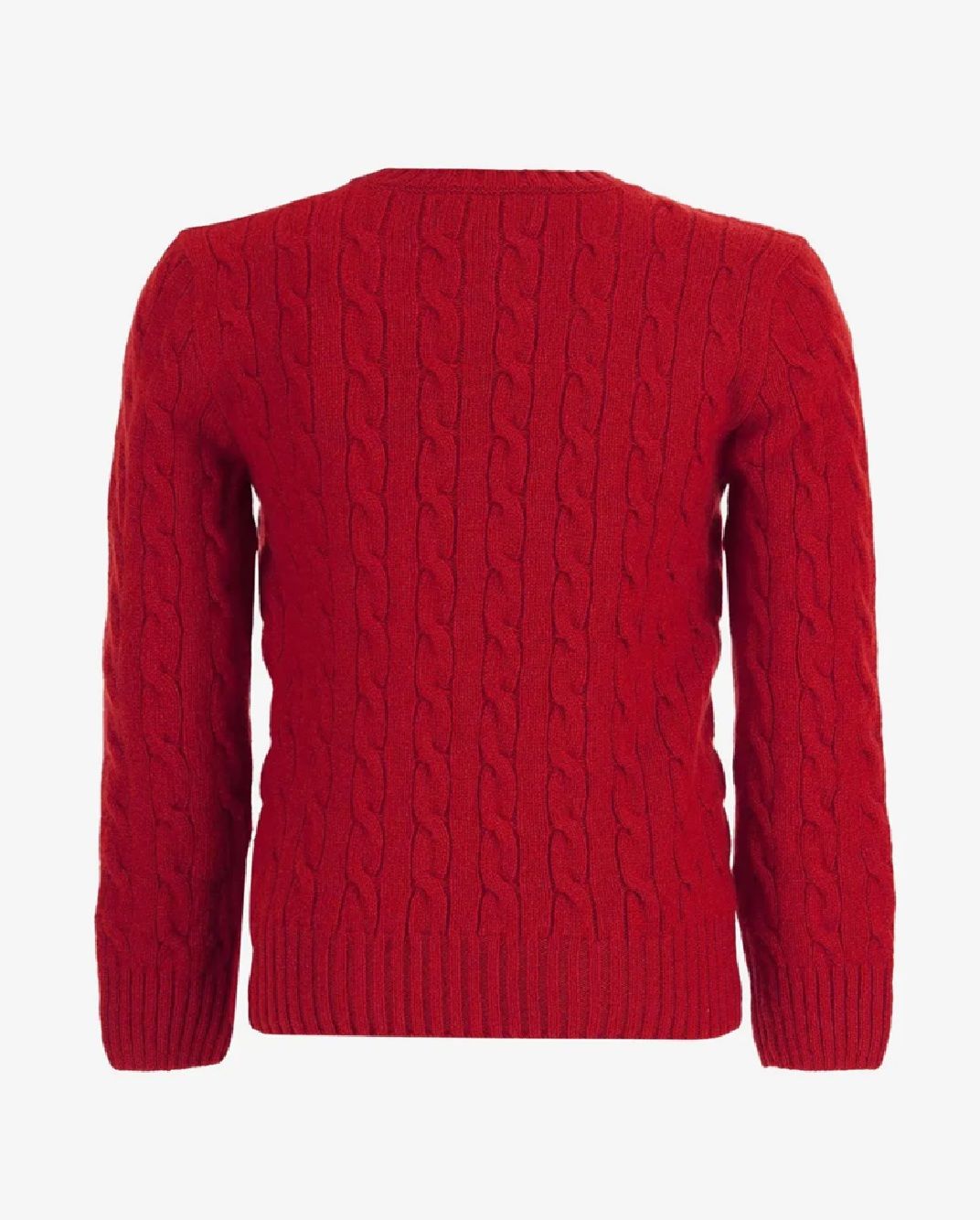 Polo Ralph Lauren kids Sweater Polo Ralph Lauren Kids Maglia