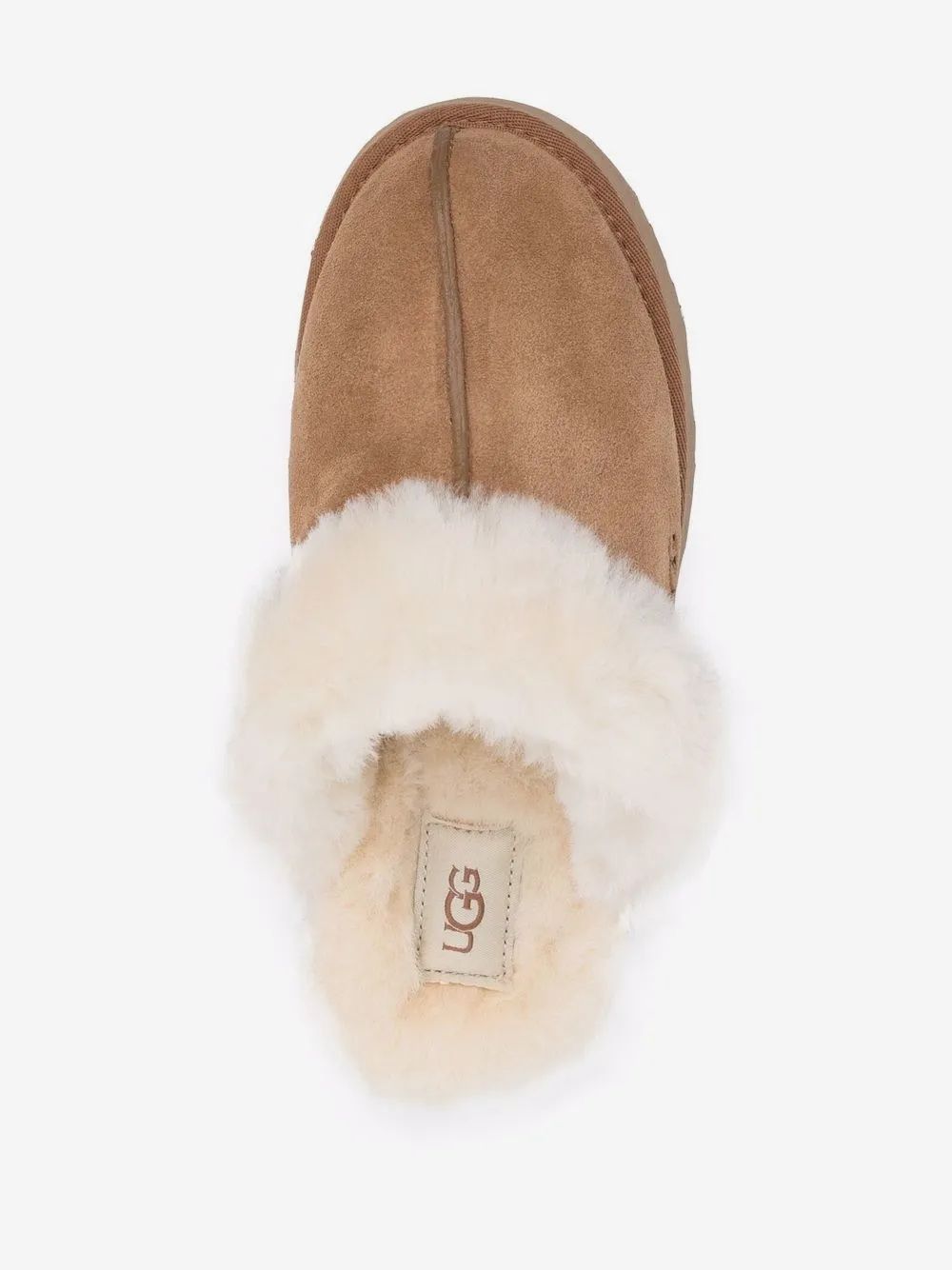 Ugg Women Disquette Ugg Donna Disquette