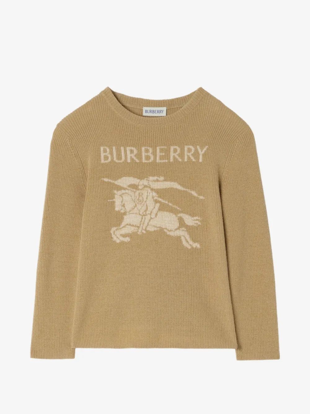 Burberrys Sweatshirt Burberry Kids Felpa