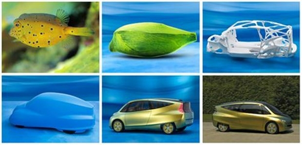 Biomimicry