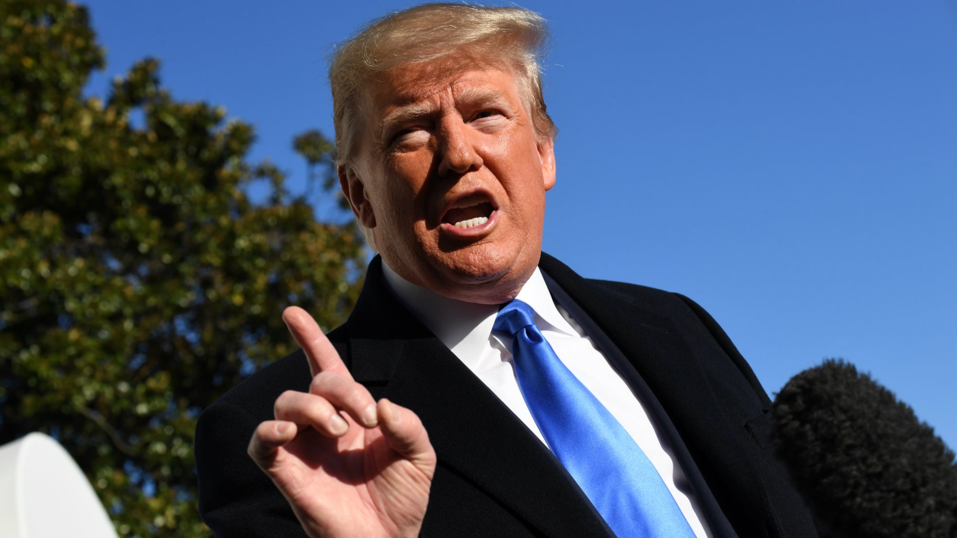 Donald Trump vingertje