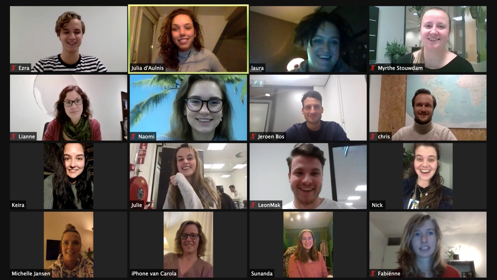 Videocall team