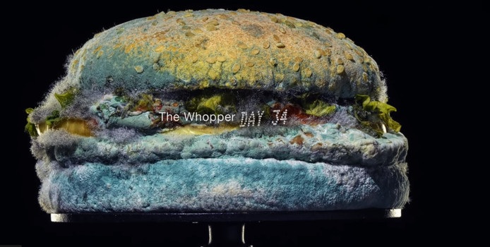 Whopper schimmelburger
