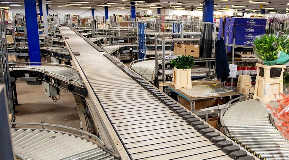 Bloemenhandel Vianen Flower Export verenigd koninkrijk export vrachtwagenchauffeurs brexit corona