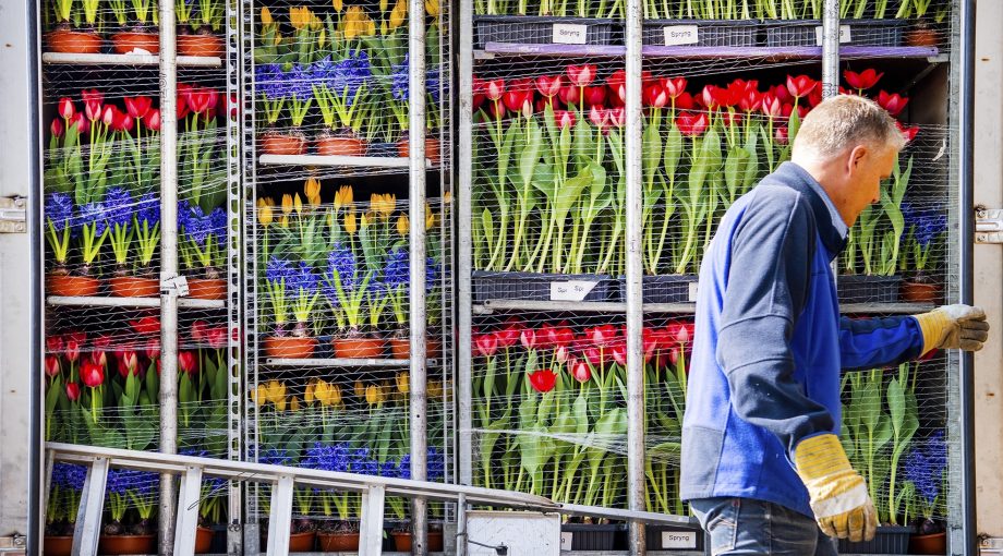 Brexit podcast Lennardvan Otterloo export bloemen