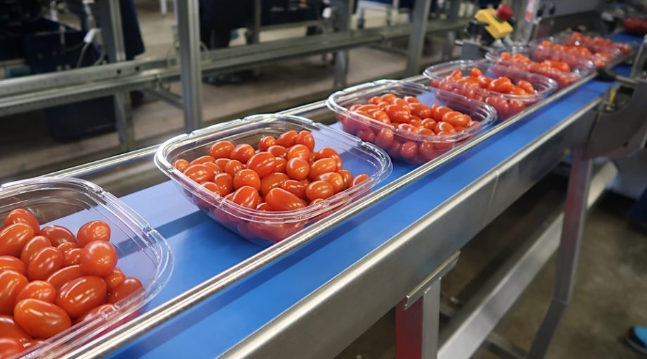 Redstar tomaten plastic verpakking de lier