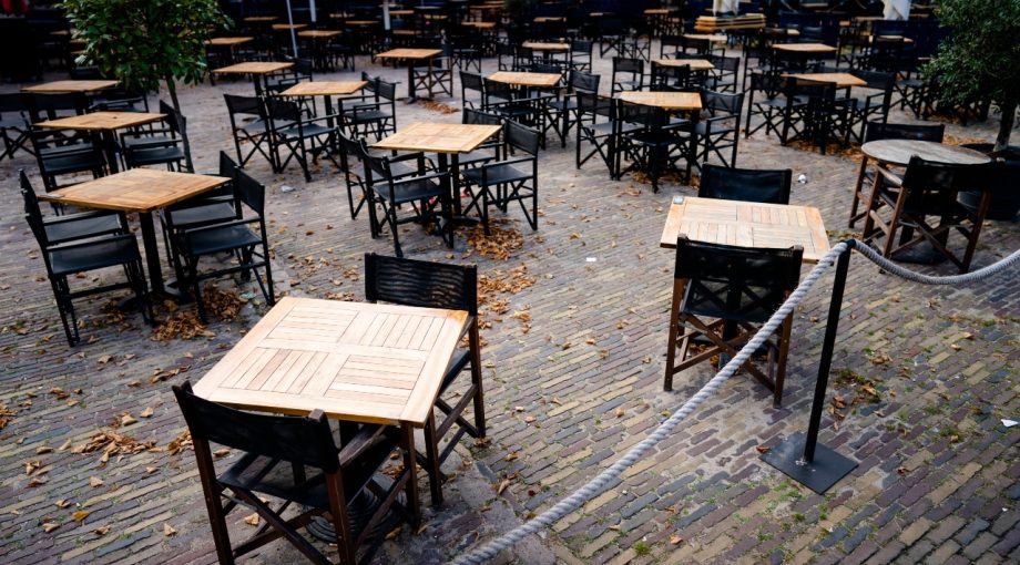 Terras ANP 423988032 1