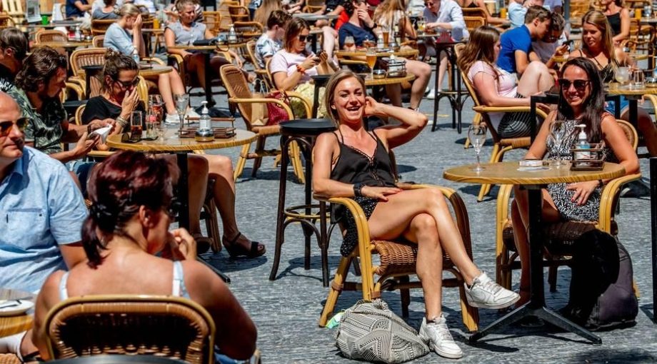 Terras