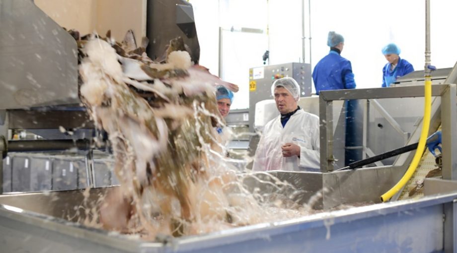 Urk visstort duurzaam ING