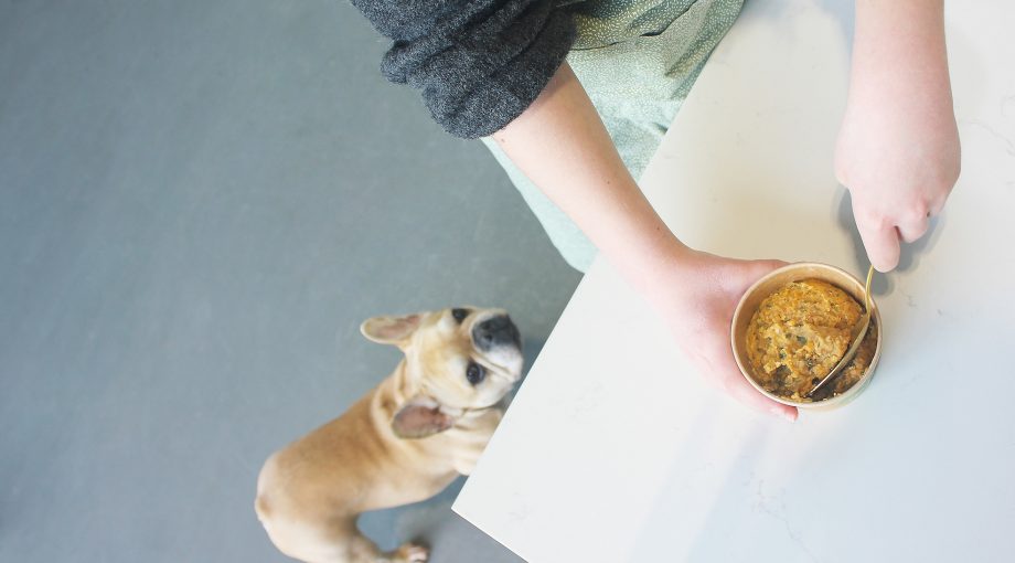 Van Pom hond hand cup