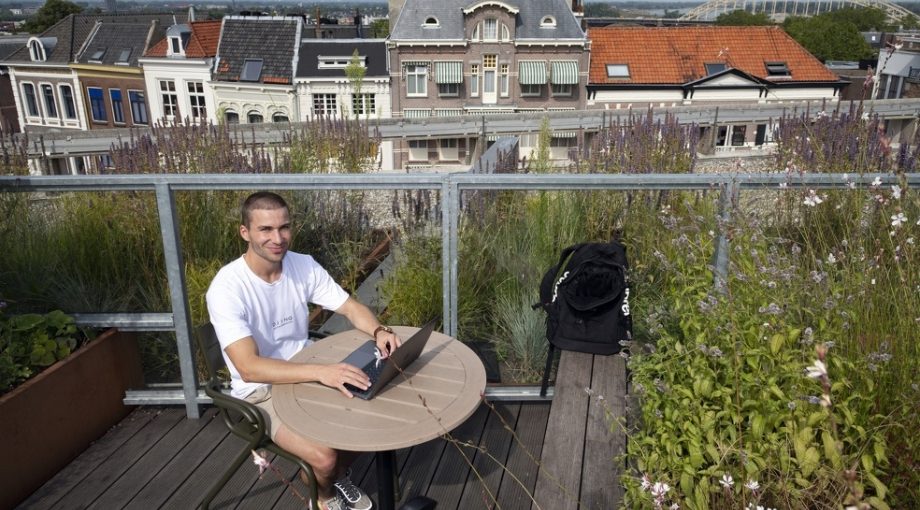 Daan scholten onderneming marketingbureau djinq