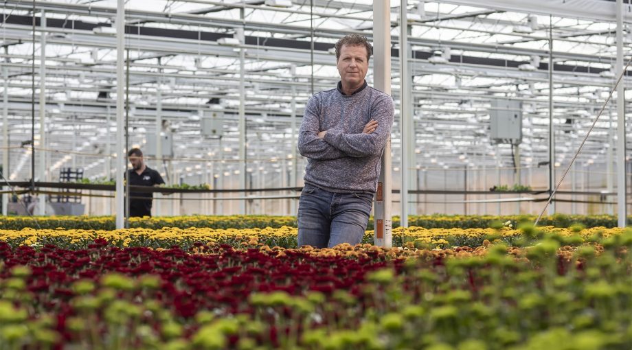 Glasbouw tuinbouw coronacrisis brexit