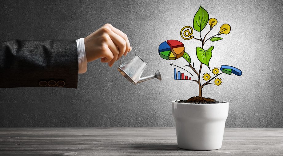Groei bedrijven slechter scaleups