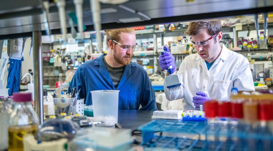 Lab octrooi aanvraag bedrijven