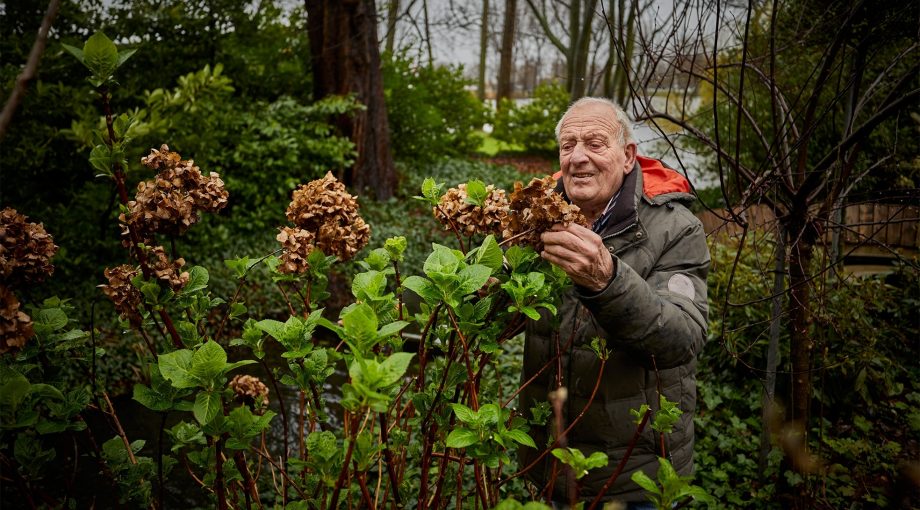 Piet hovenier oudste boek rotterdam