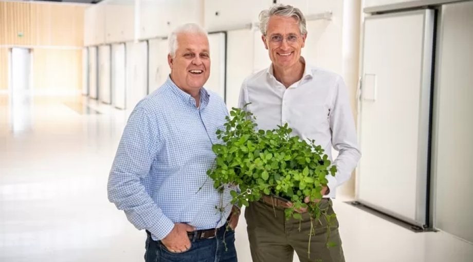 Plantlab tuinbouwrevolutie kweekt groenten gebouw stad