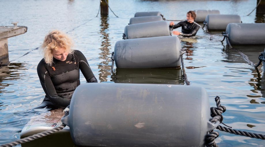 Seaweed farmers water