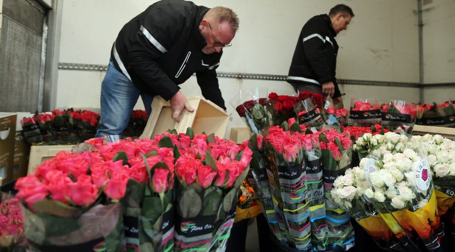 Sierteelt bloemen corona crisis