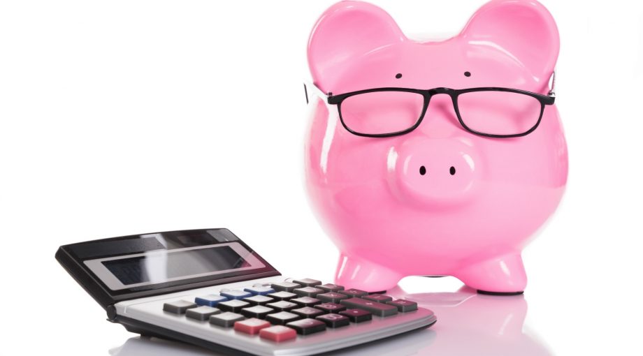 Spaarvarken financien geld advies rekenmachine