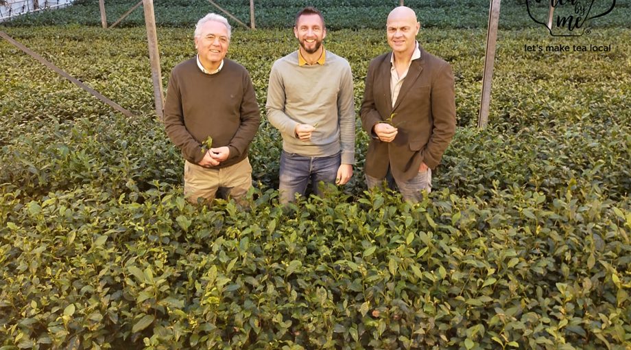 Tea duurzaam vegetarische slager thee
