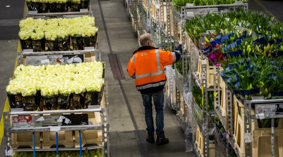 Valentijnsdag populair bloemensector 1