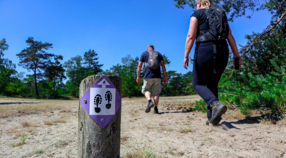 Vierdaagse corona wandelen gezond