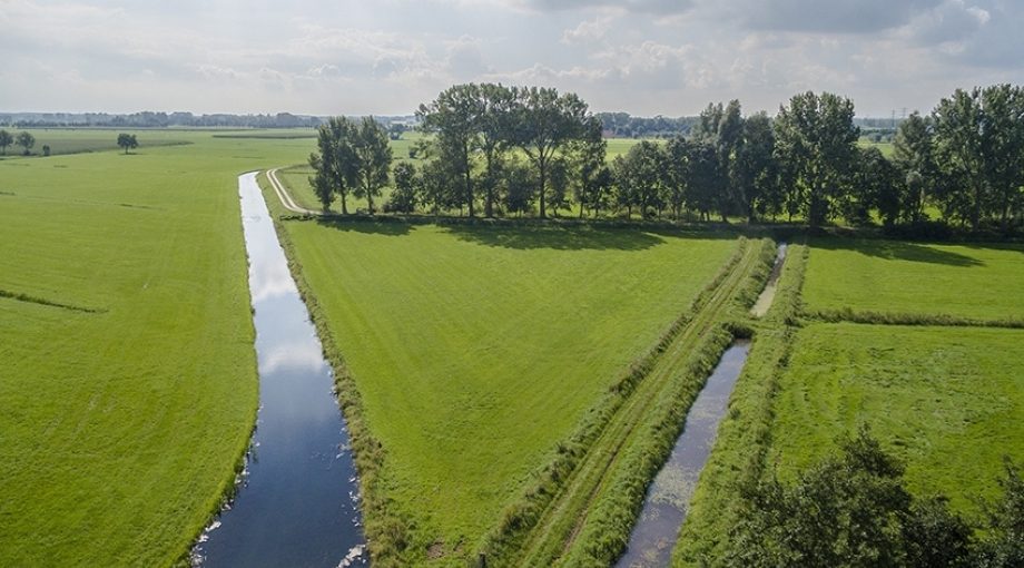 Waterschappen corona