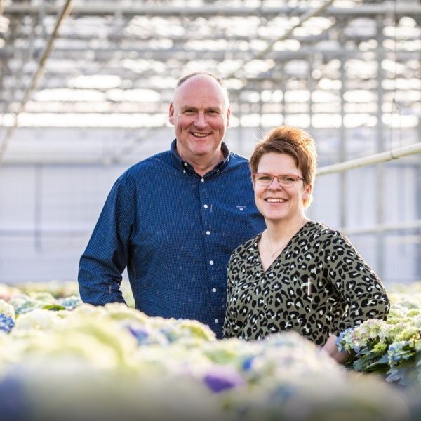 Sierteelt Kees Preesman AD bloemen kweker