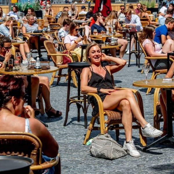 Terras