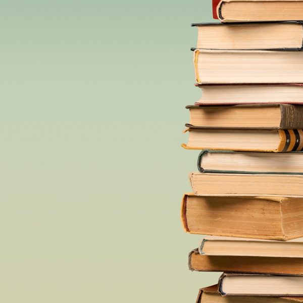 Boeken ondernemers jitske kramer slierendrecht
