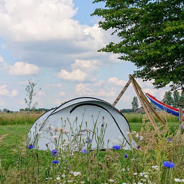 Campspace Hugo van Donselaar staand