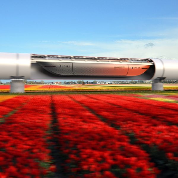 Cargoloop bloemenveld model