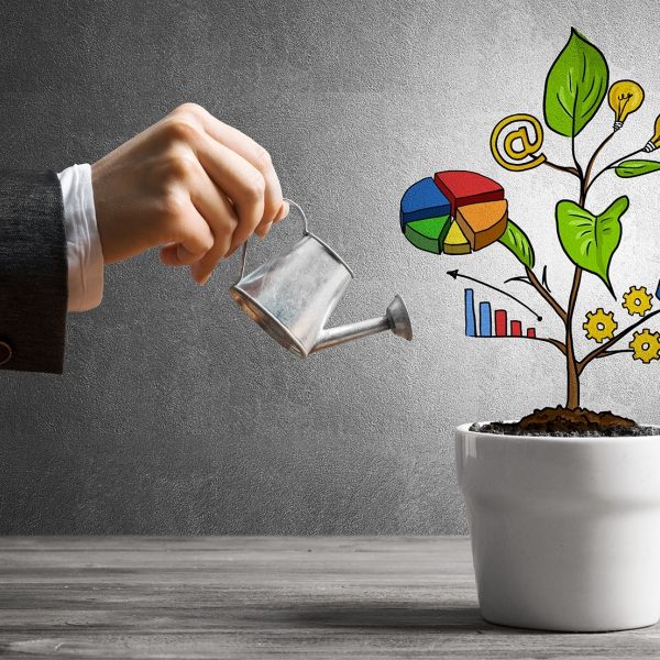 Groei bedrijven slechter scaleups