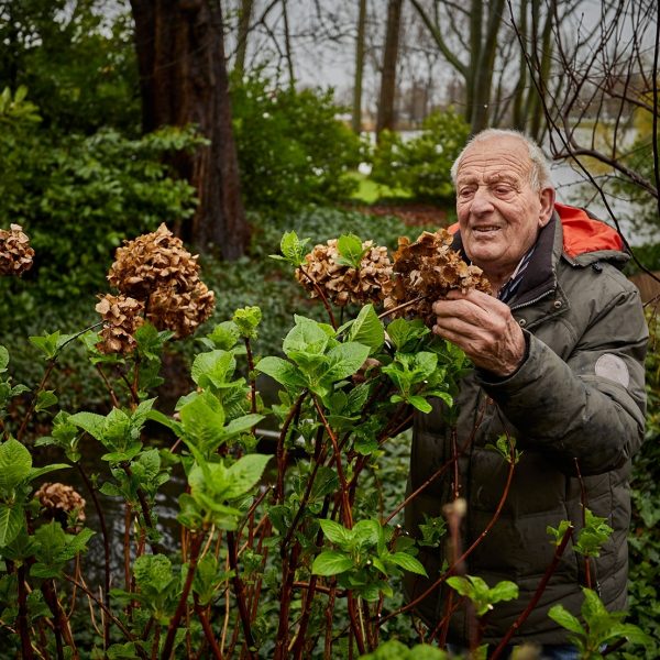 Piet hovenier oudste boek rotterdam