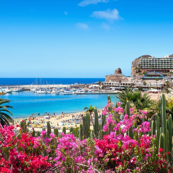 Proefreis gran canaria corona
