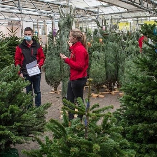 Tuincentrum kerstbomen klanten expliciet