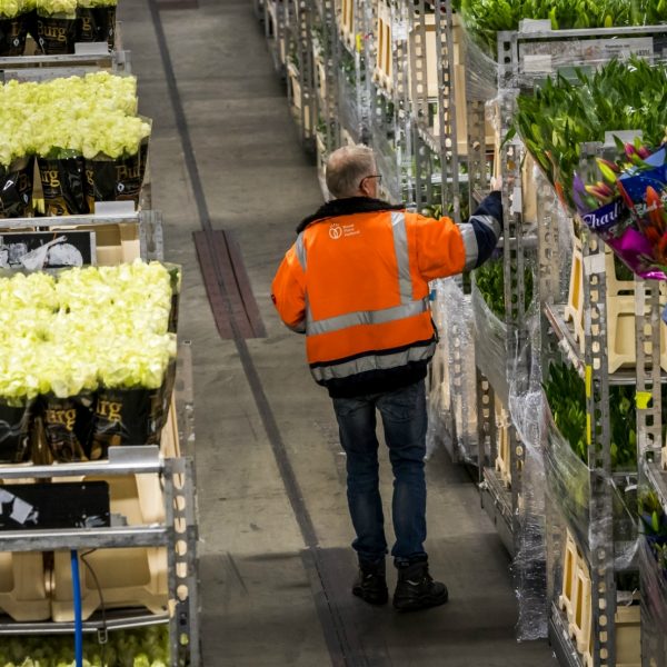 Valentijnsdag populair bloemensector 1