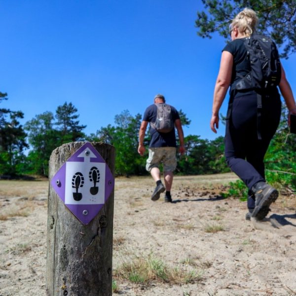 Vierdaagse corona wandelen gezond