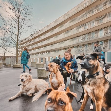 BD Ondernemer deze tips helpen bij belastingaangifte