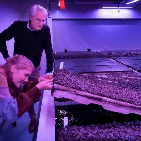 Directeur Michiel Peters en projectleider Lieve Hurkens controleren de wortelgroei in een van de klimaatkamers van Plant Lab copyright Marc Bolsius