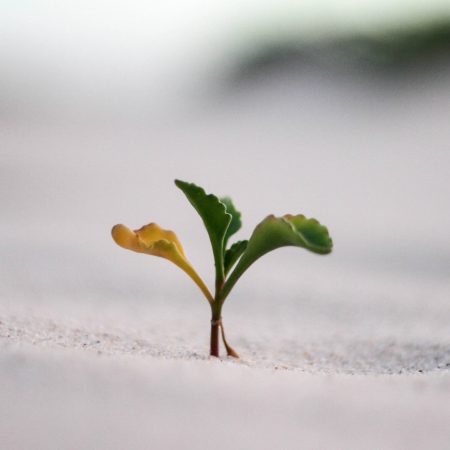 Gerhard te Velde Growth Jeremy Bishop Unsplash