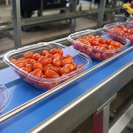 Redstar tomaten plastic verpakking de lier