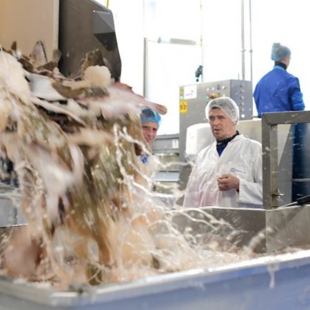 Urk visstort duurzaam ING