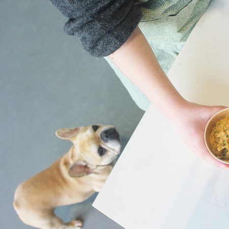 Van Pom hond hand cup